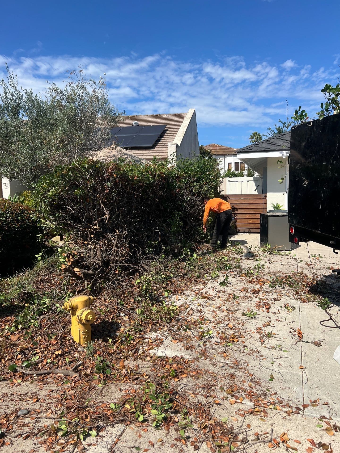 Gallery photos for A Major Yard Makeover in Rancho Santa Fe: Image #3