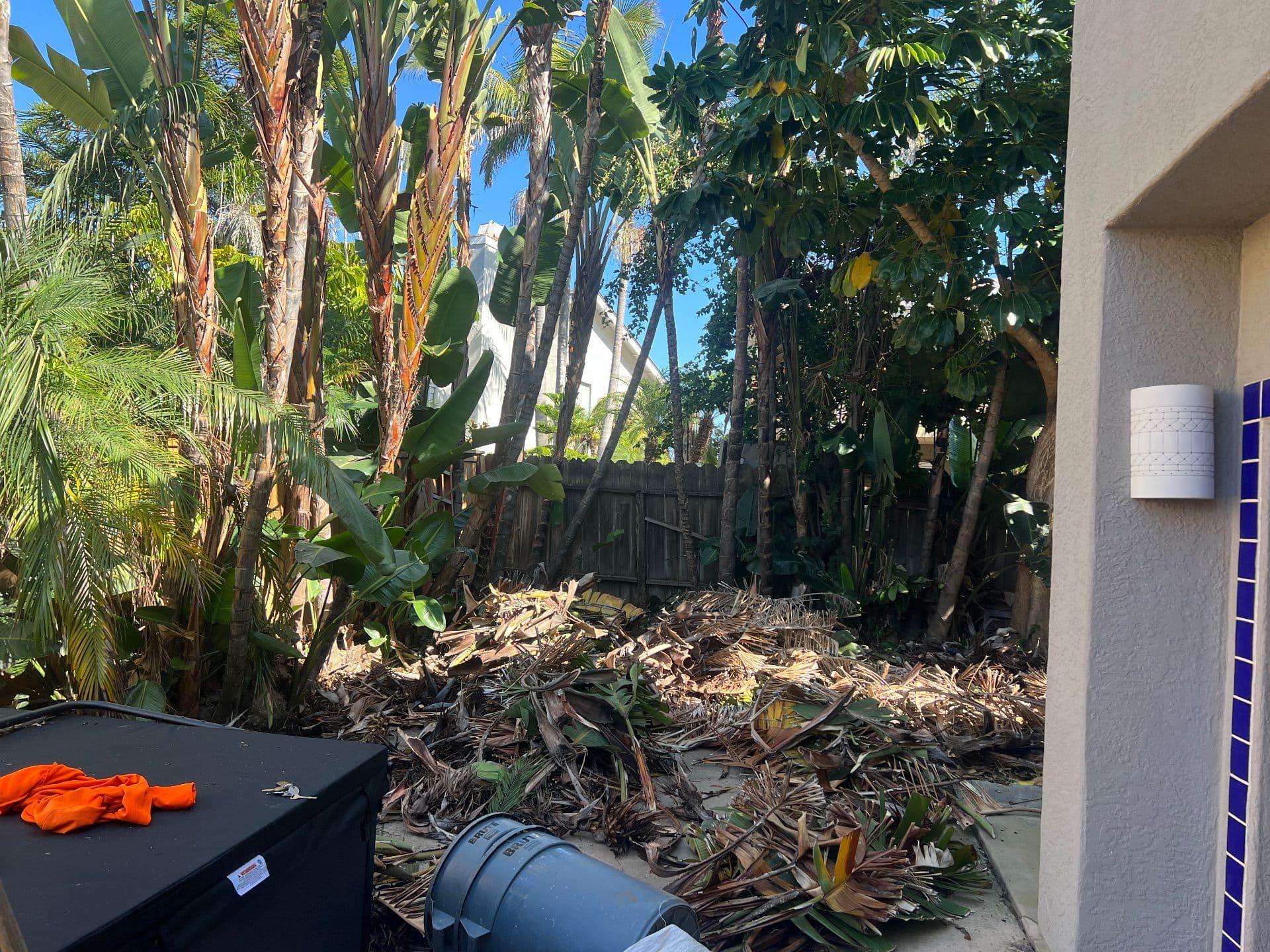Yard Cleanup and Tree Trimming in Encinitas