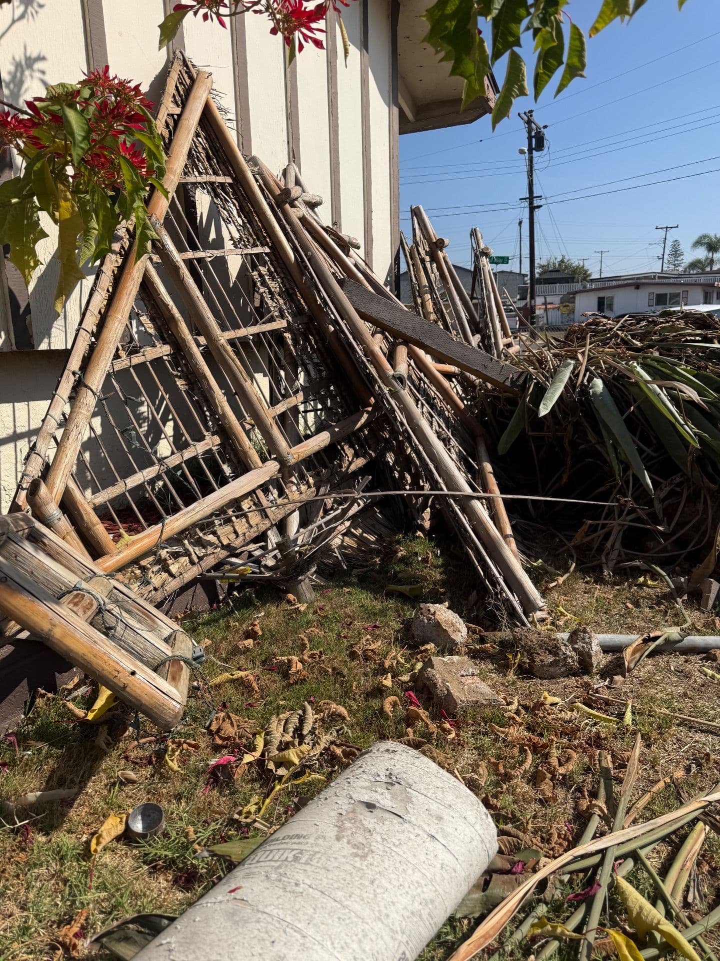 Project Thorough Clean-Up and Debris Removal in Chula Vista image